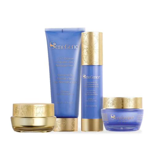 normal-dry-skincare-regimen-set