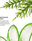 horsetail-nail-defense-treatment