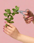 Nail Polish - Blushing Bouquet