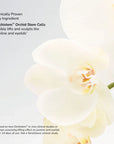 senecell-seneplex-stemcell-concentrate