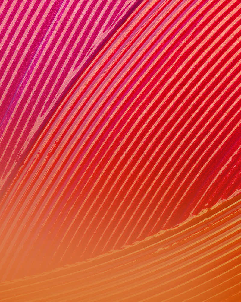 6 Summer Makeup Essentials