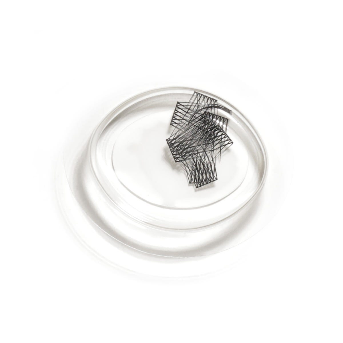 lashsense-lashes-refill-plumeria-1-ct