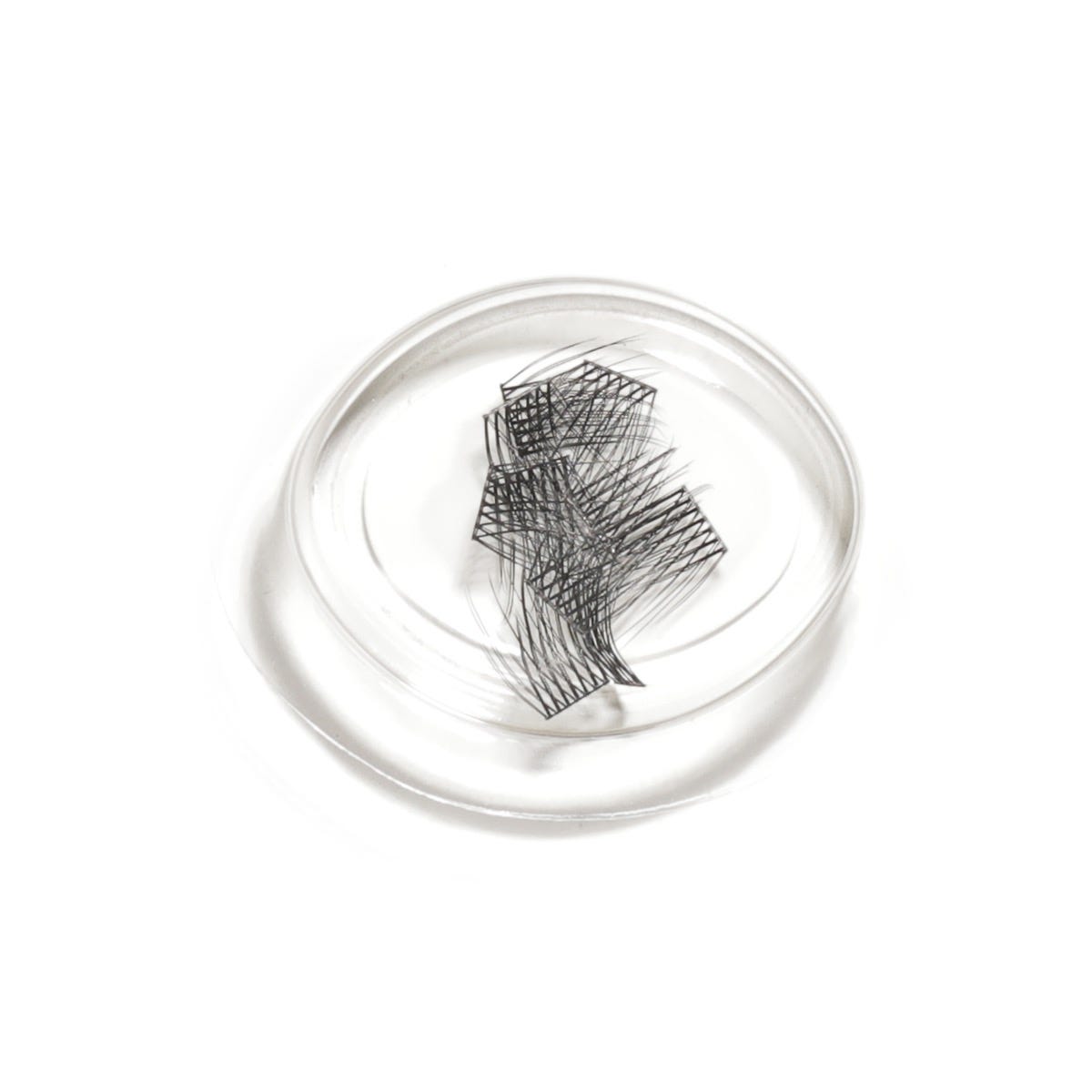 LashSense Lashes Refill - Plumeria (1 ct.)