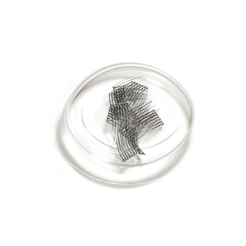 lashsense-lashes-refill-plumeria-1-ct