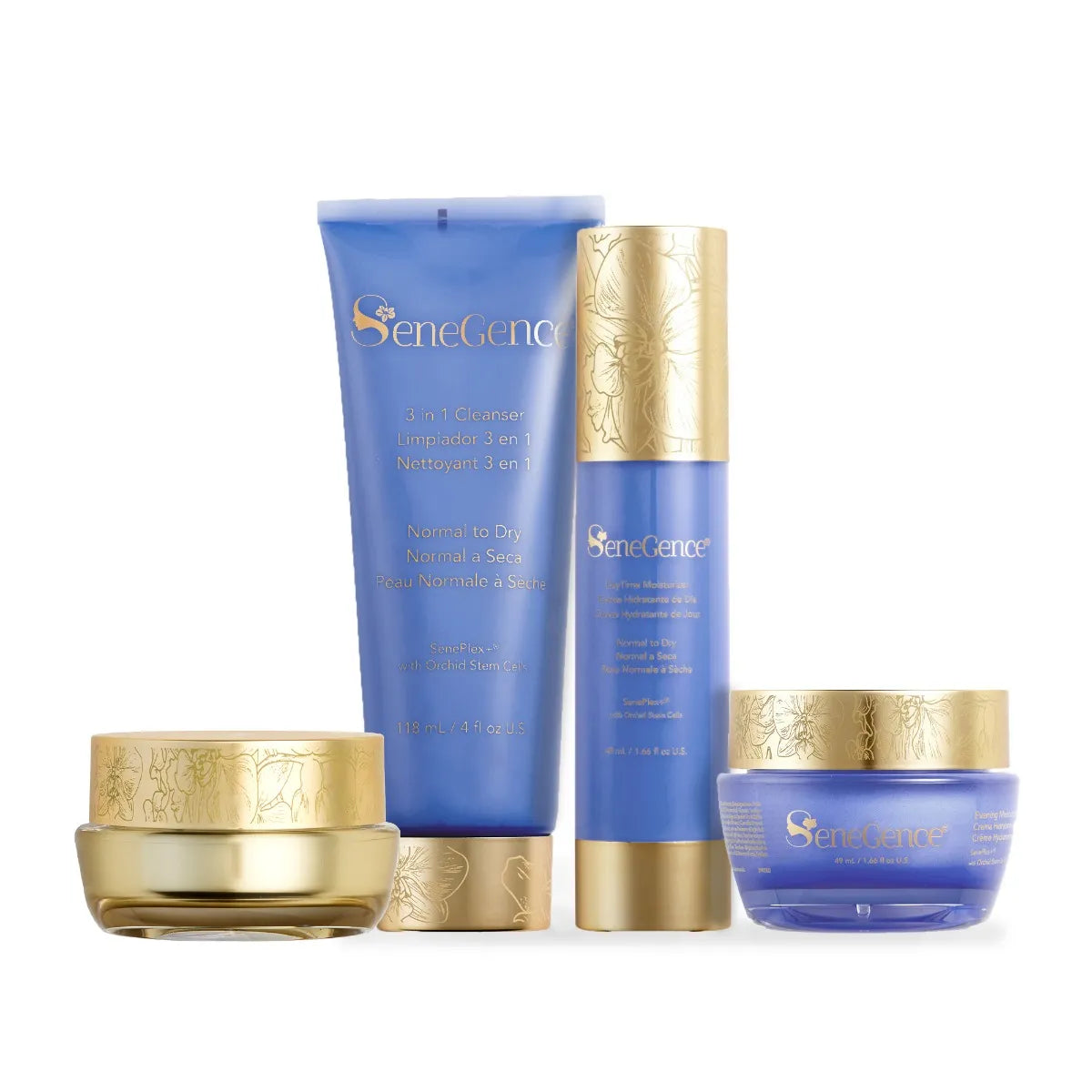 normal-dry-skincare-regimen-set