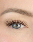 LashSense Lashes Refill - Plumeria (1 ct.) - Black - Long