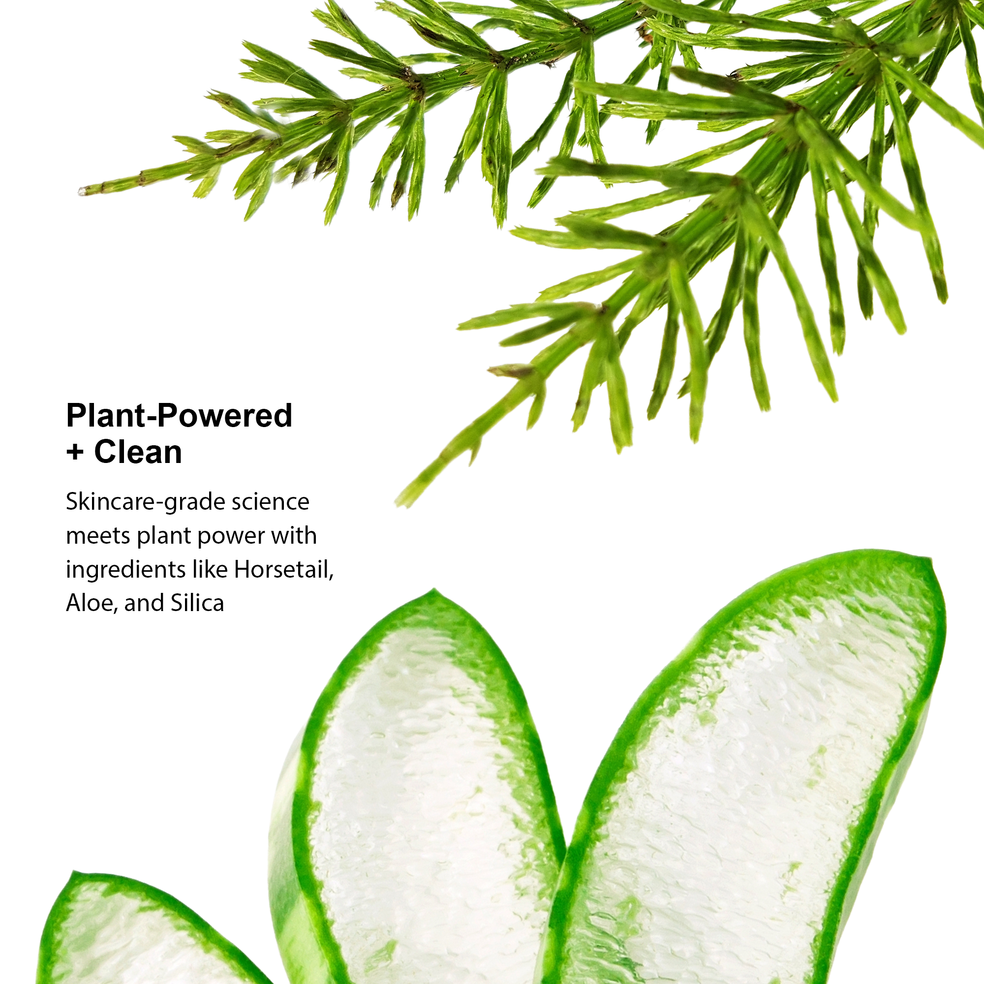 horsetail-nail-defense-treatment