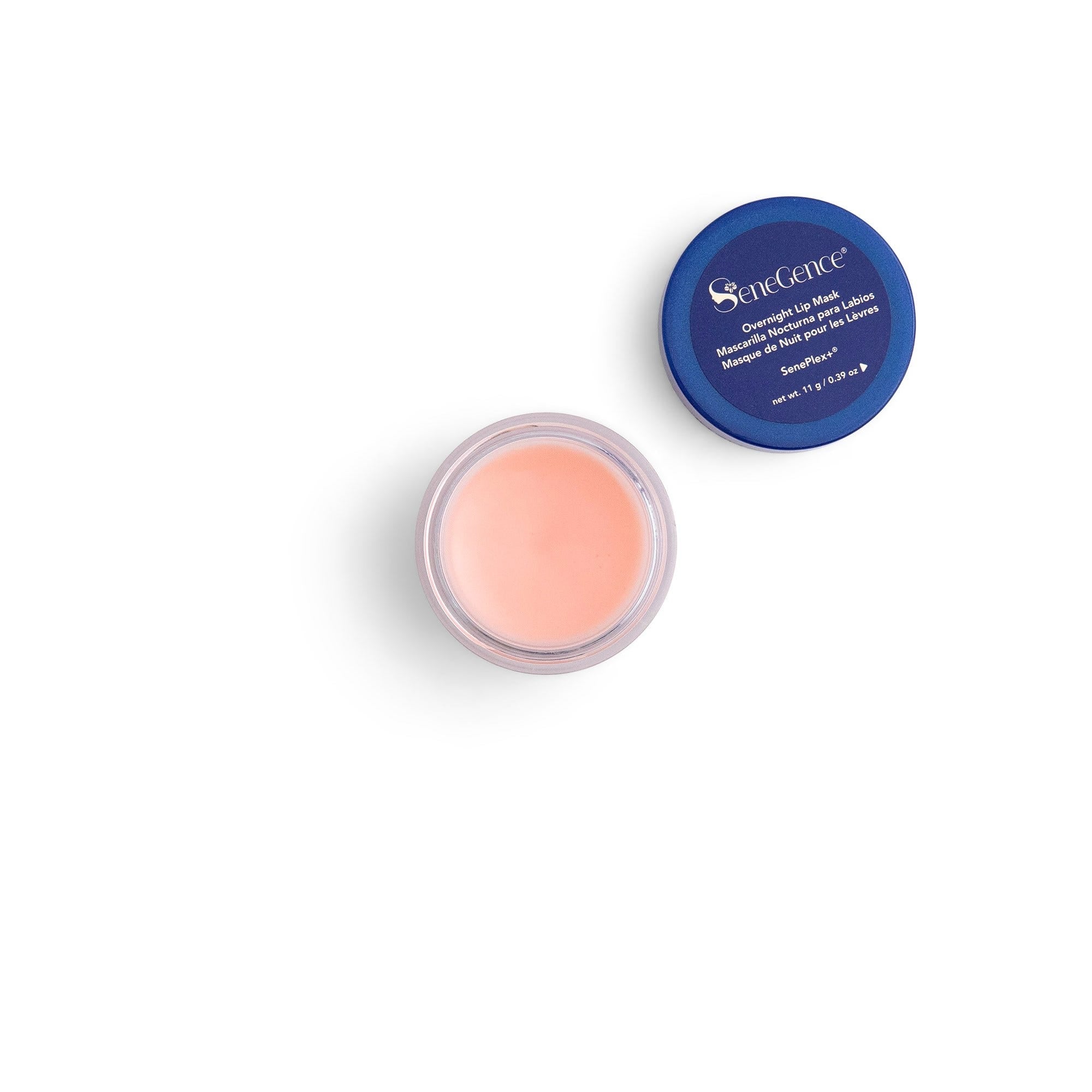 Overnight Lip Mask with Applicator - Default Title
