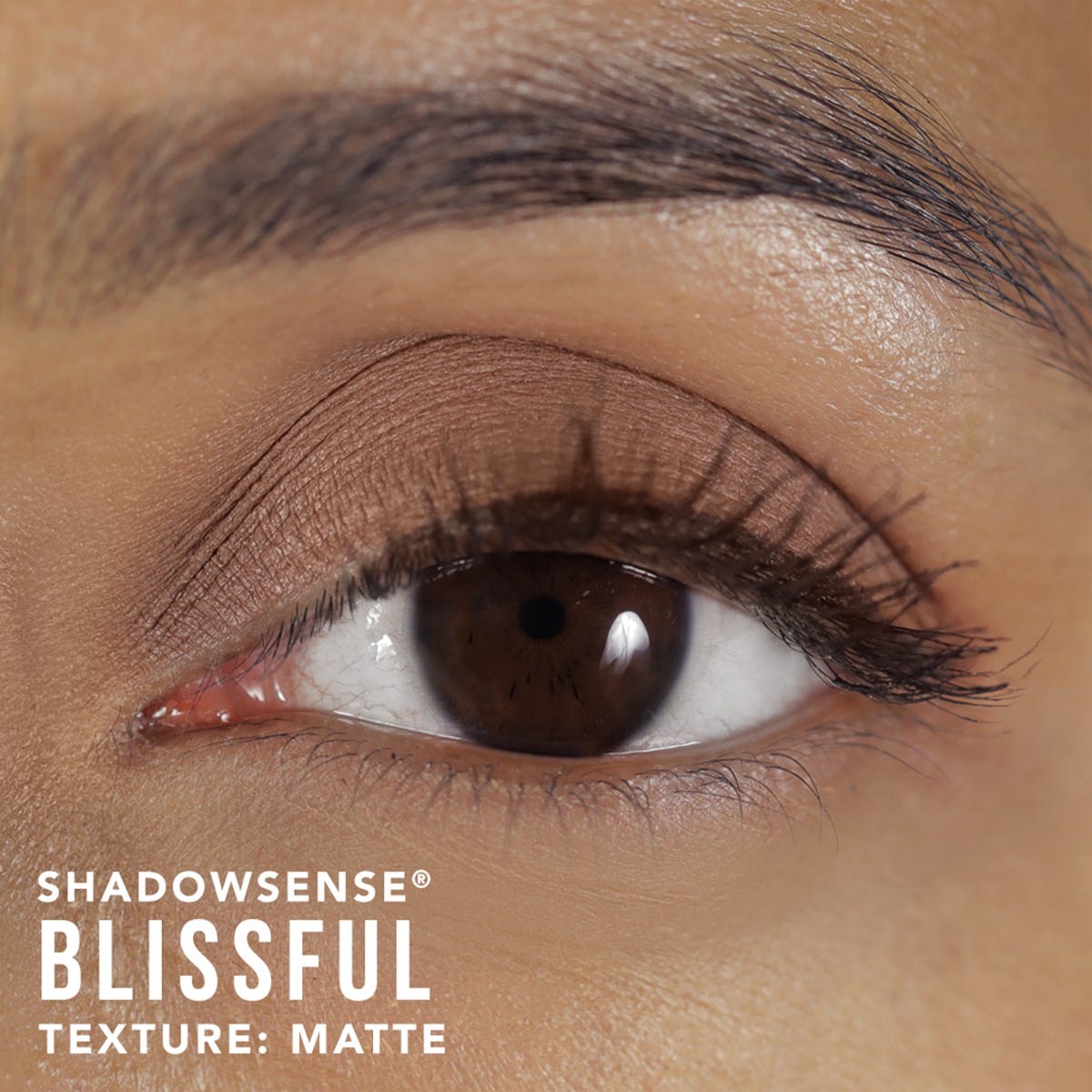 ShadowSense® Eyeshadow - Blissful