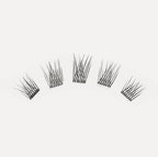 lashsense-lashes-bloom-box