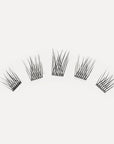 LashSense® Lashes Bloom Box - Default Title