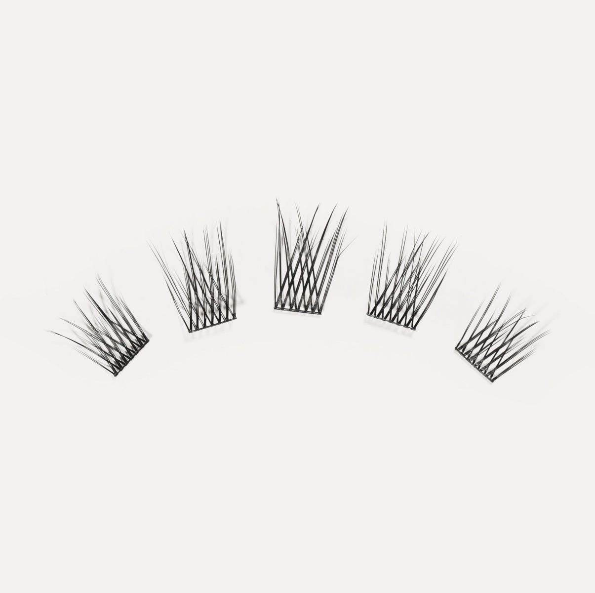LashSense® Lashes Bloom Box CAN