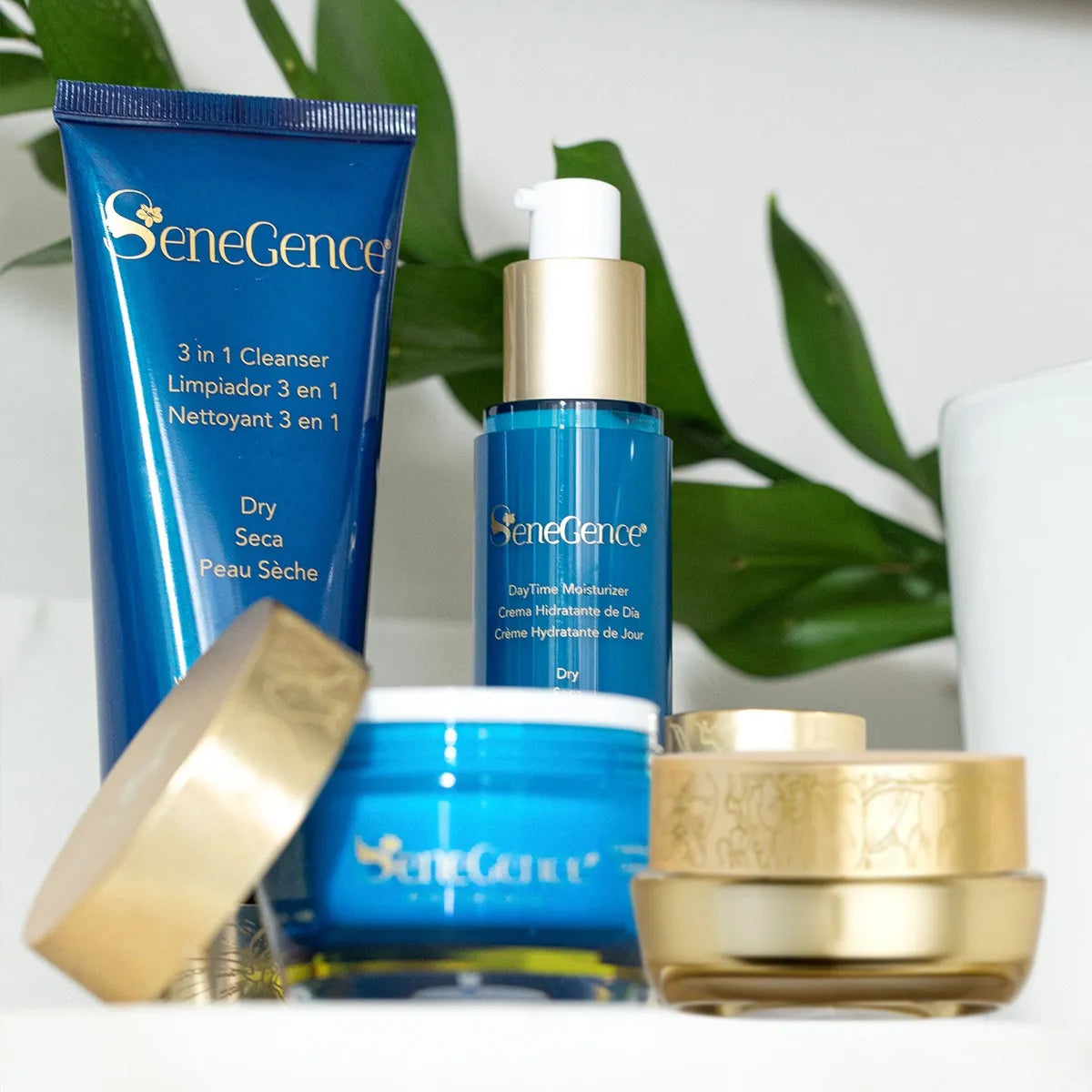 Dry SkinCare Regimen Set MX