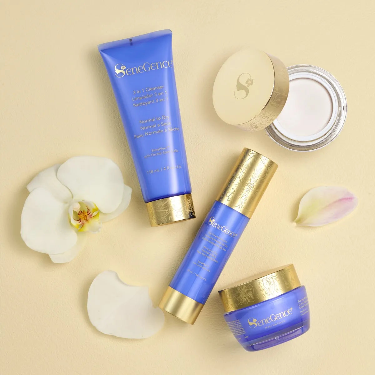 Normal-Dry SkinCare Regimen Set CN