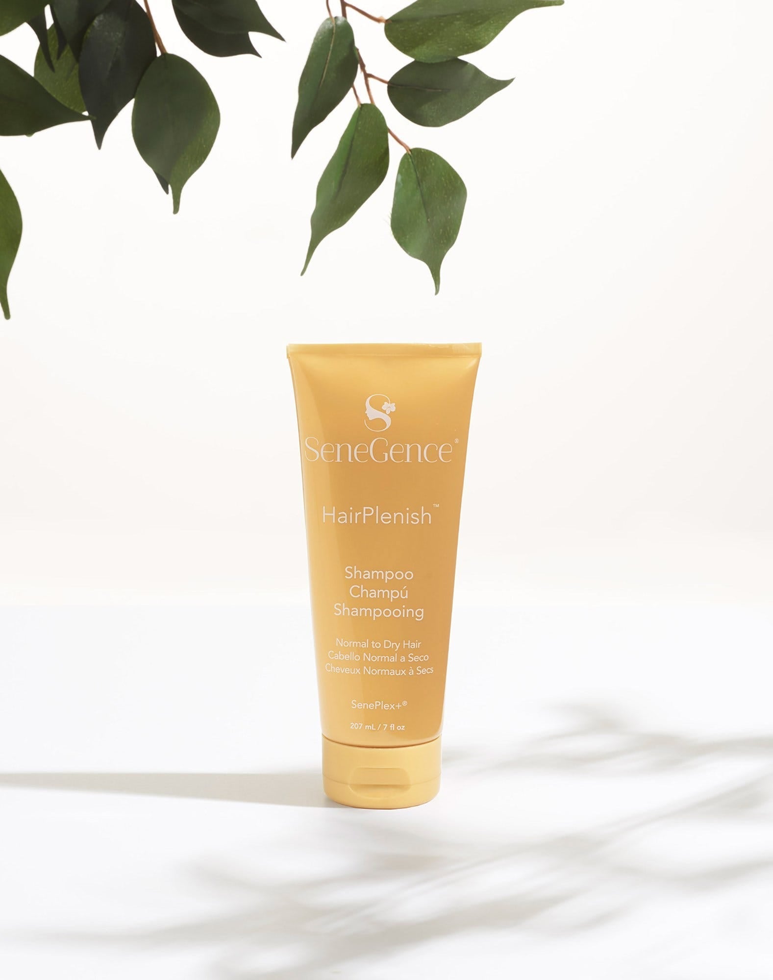 hairplenish-shampoo