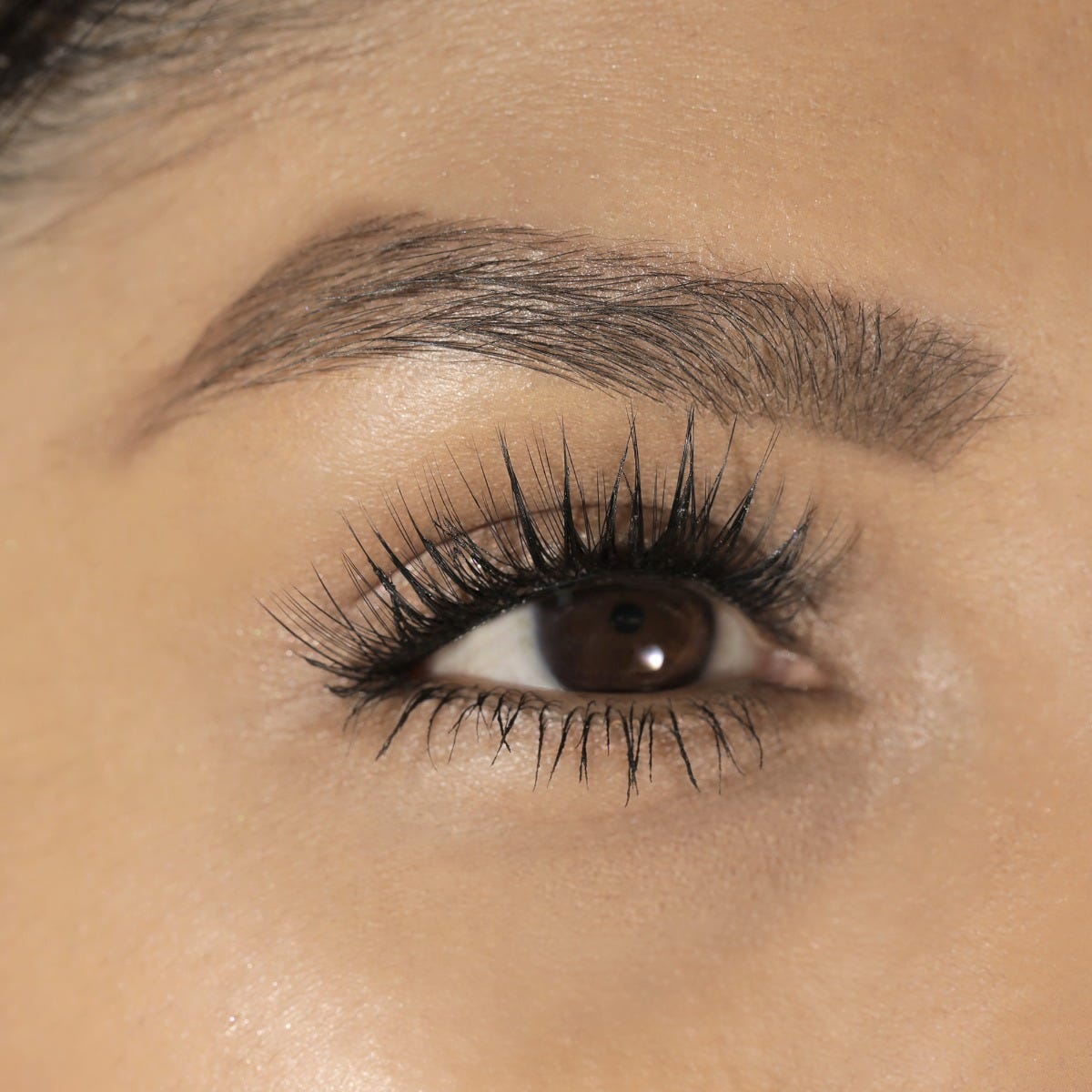 lashsense-lashes-bloom-box-copy