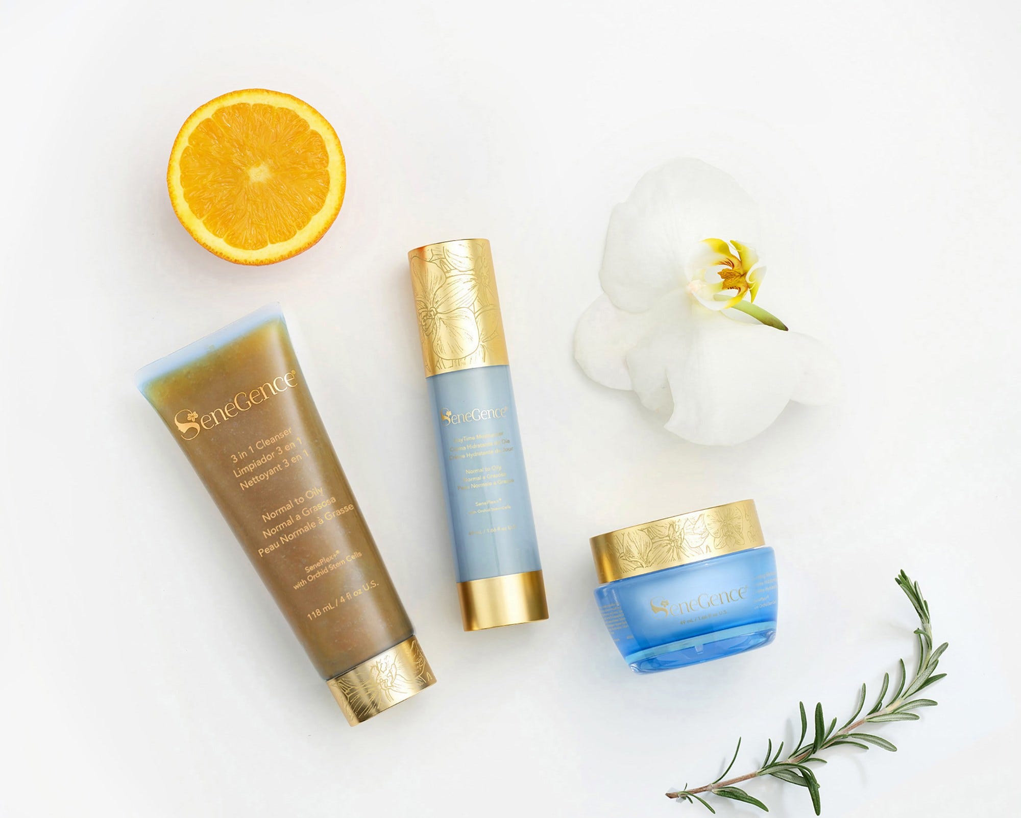 daytime-moisturizer-normal-to-oily-copy