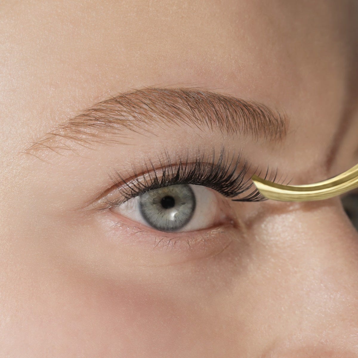 lashsense-lashes-bloom-box-copy