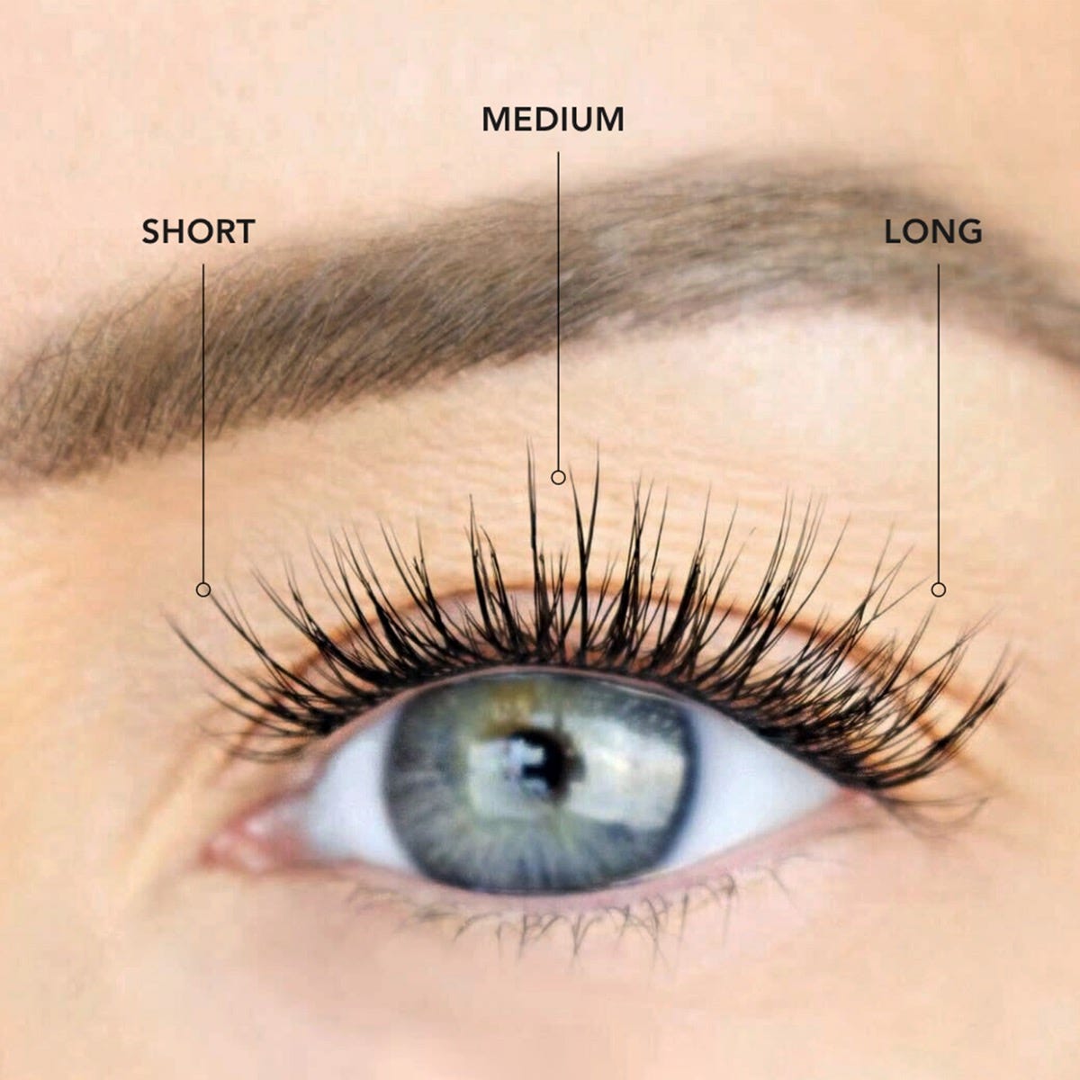 LashSense Lashes Refill - Plumeria (4 ct.) - Black - Long