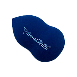 blending-sponge